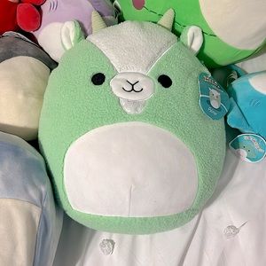 Palmer squishmallow